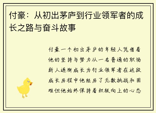 付豪：从初出茅庐到行业领军者的成长之路与奋斗故事